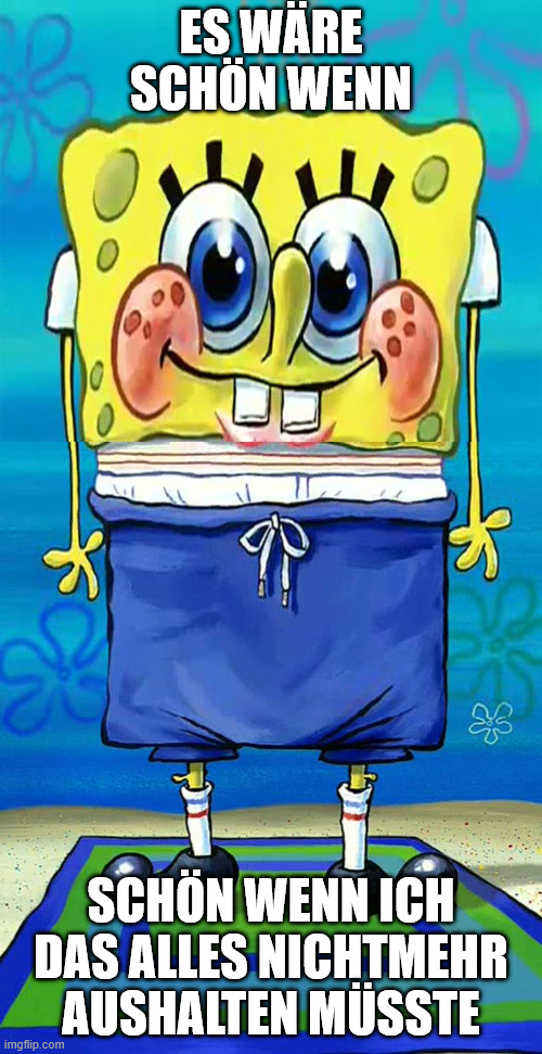 ES WÄRE SCHÖN WENN; SCHÖN WENN ICH DAS ALLES NICHTMEHR AUSHALTEN MÜSSTE | made w/ Imgflip meme maker