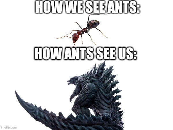What is this? Godzilla Earth for ants? | HOW WE SEE ANTS:; HOW ANTS SEE US: | image tagged in godzilla | made w/ Imgflip meme maker