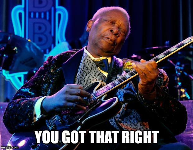 BB King | YOU GOT THAT RIGHT | image tagged in bb king | made w/ Imgflip meme maker