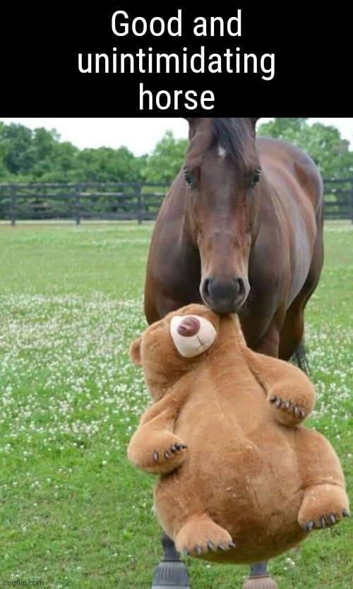 Tedy baer | Good and unintimidating horse | made w/ Imgflip meme maker