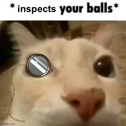 X your balls | inspects | image tagged in x your balls | made w/ Imgflip meme maker