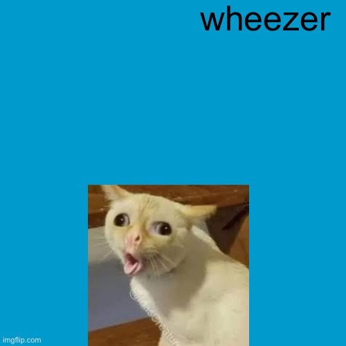 Blank Weezer blue album edit | wheezer | image tagged in blank weezer blue album edit | made w/ Imgflip meme maker