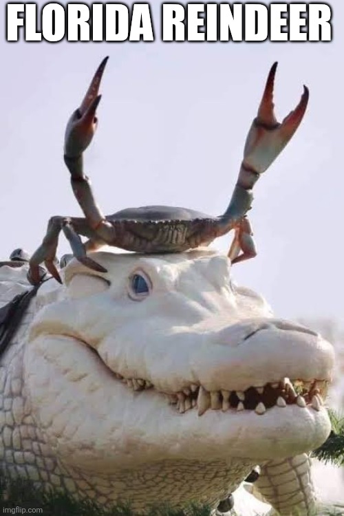 Florida Reindeer | FLORIDA REINDEER | image tagged in chrisjoines1 | made w/ Imgflip meme maker