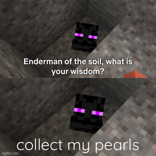 Enderman of the soil | collect my pearls | image tagged in enderman of the soil | made w/ Imgflip meme maker