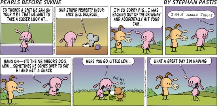 Pearls Before Swine | image tagged in comics | made w/ Imgflip meme maker