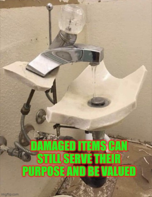 Damaged items can still work and be valued | DAMAGED ITEMS CAN STILL SERVE THEIR PURPOSE AND BE VALUED | image tagged in broken but functional sink,christmas,autism,christmas decorations,values | made w/ Imgflip meme maker