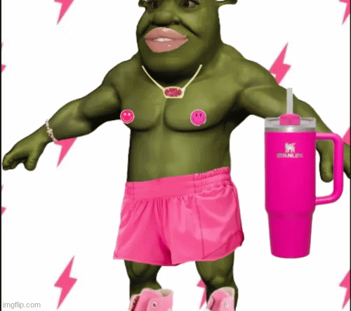 Preppy | image tagged in gifs,shrek,preppy | made w/ Imgflip images-to-gif maker