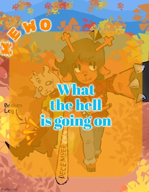 Mewo's Dess Template | What the hell is going on | image tagged in mewo's dess template | made w/ Imgflip meme maker