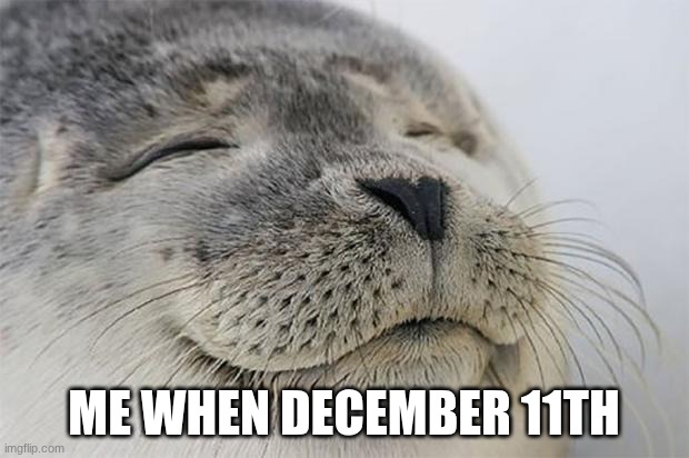 valve | ME WHEN DECEMBER 11TH | image tagged in memes,satisfied seal | made w/ Imgflip meme maker