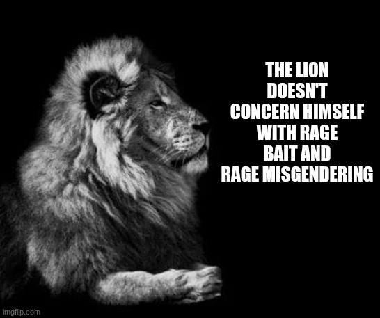 the lion.. | THE LION DOESN'T CONCERN HIMSELF WITH RAGE BAIT AND RAGE MISGENDERING | image tagged in the lion | made w/ Imgflip meme maker