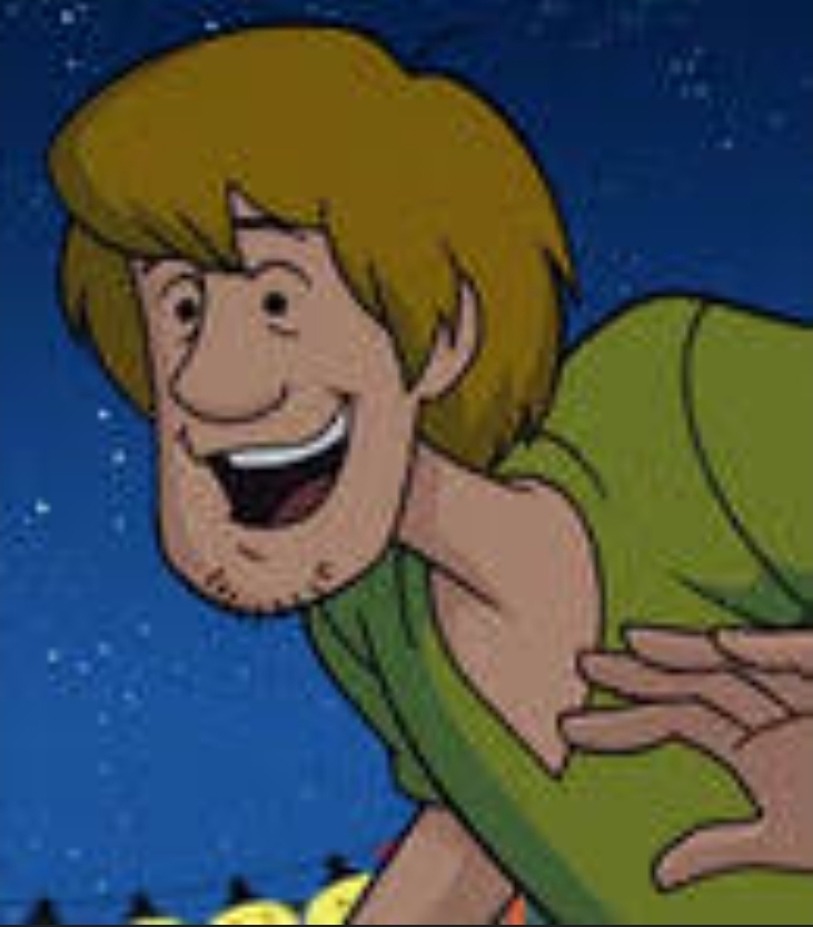 High Quality Excited Shaggy Blank Meme Template