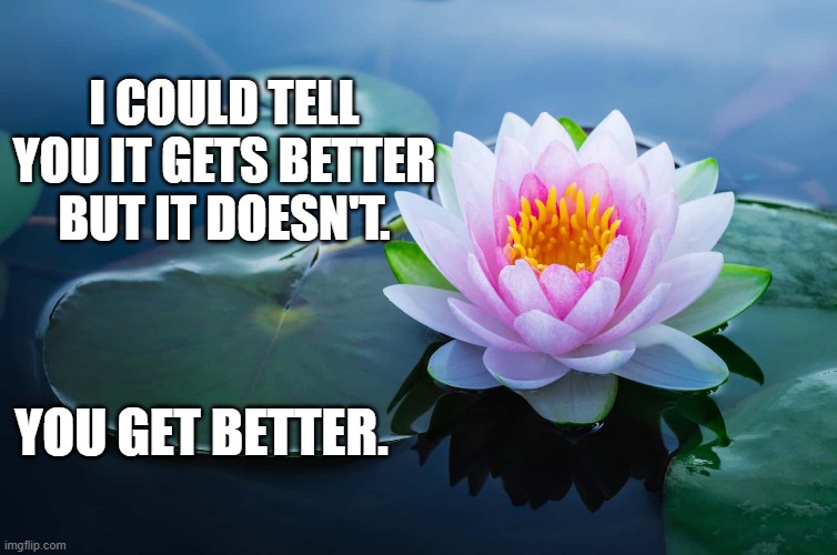 Get Better | I COULD TELL YOU IT GETS BETTER BUT IT DOESN'T. YOU GET BETTER. | image tagged in get better | made w/ Imgflip meme maker