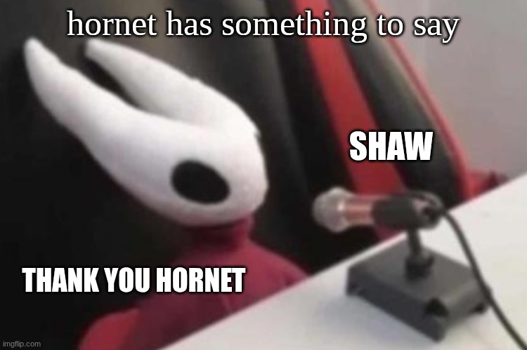 hornet in hollow knight | hornet has something to say; SHAW; THANK YOU HORNET | image tagged in hornet announcement | made w/ Imgflip meme maker