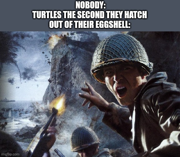 Soldiers Invading d-day | NOBODY:
TURTLES THE SECOND THEY HATCH OUT OF THEIR EGGSHELL: | image tagged in soldiers invading d-day | made w/ Imgflip meme maker