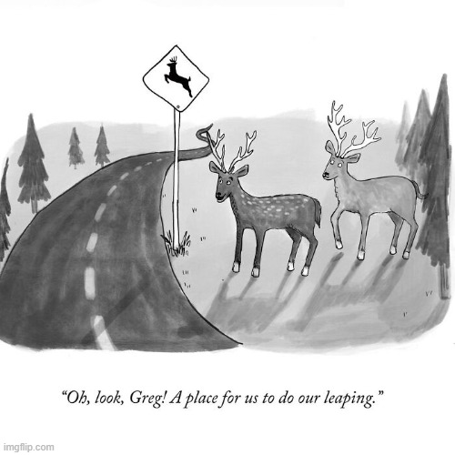 Deer Crossing | image tagged in comics | made w/ Imgflip meme maker