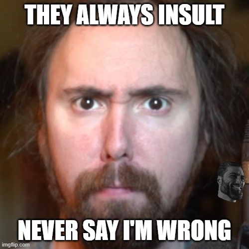 Asmongold | THEY ALWAYS INSULT; NEVER SAY I'M WRONG | image tagged in asmongold is based | made w/ Imgflip meme maker