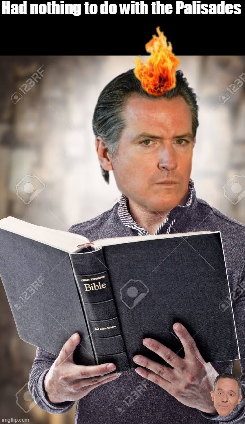 Grease Fire | Had nothing to do with the Palisades | image tagged in newsom hair on fire bible meme | made w/ Imgflip meme maker
