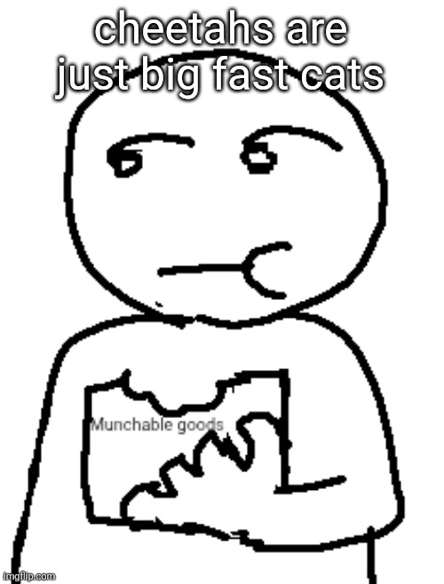 Munchable goods | cheetahs are just big fast cats | image tagged in munchable goods | made w/ Imgflip meme maker