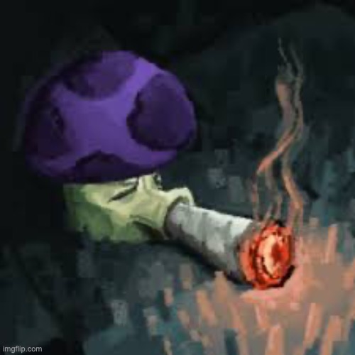 Bait used to be believable puffshroom | image tagged in bait used to be believable puffshroom | made w/ Imgflip meme maker