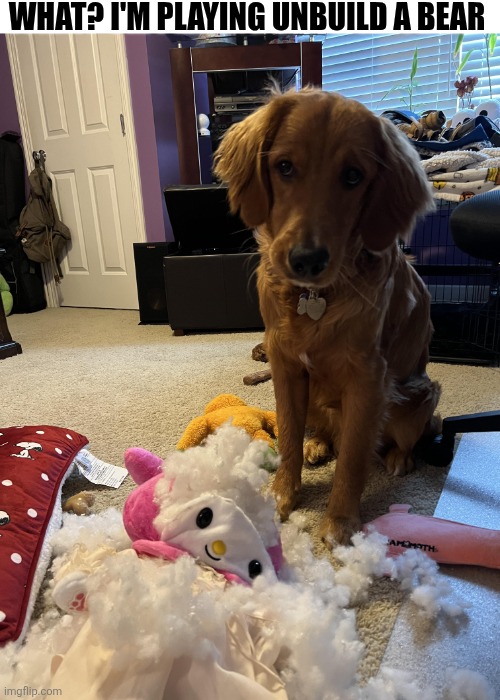 What? I'm Playing Unbuild A Bear | WHAT? I'M PLAYING UNBUILD A BEAR | image tagged in chrisjoines1 | made w/ Imgflip meme maker