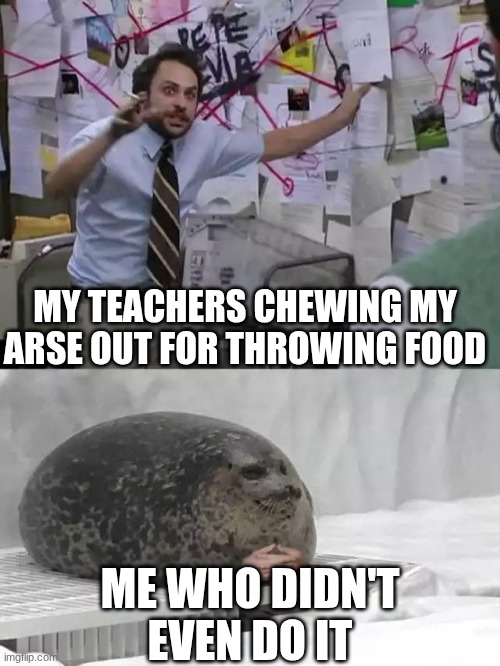 My teachers chewing me out when I didn't even start if | MY TEACHERS CHEWING MY ARSE OUT FOR THROWING FOOD; ME WHO DIDN'T EVEN DO IT | image tagged in man explaining to seal | made w/ Imgflip meme maker