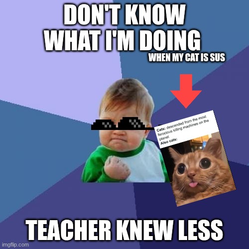 Success Kid Meme | DON'T KNOW WHAT I'M DOING; WHEN MY CAT IS SUS; TEACHER KNEW LESS | image tagged in memes,success kid | made w/ Imgflip meme maker