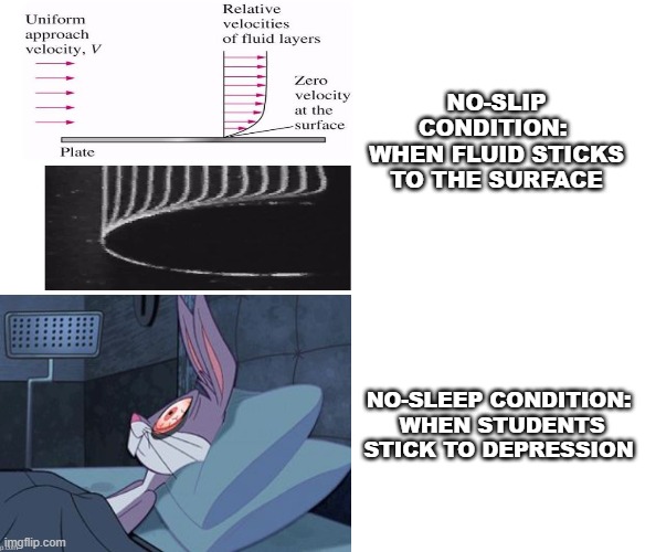 No-slip condition vs no-sleep condition | NO-SLIP CONDITION: 
WHEN FLUID STICKS TO THE SURFACE; NO-SLEEP CONDITION:
 WHEN STUDENTS STICK TO DEPRESSION | image tagged in memes,engineering | made w/ Imgflip meme maker