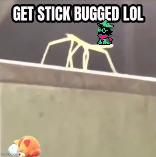 just a quick shart post | image tagged in get stick bugged lol | made w/ Imgflip meme maker