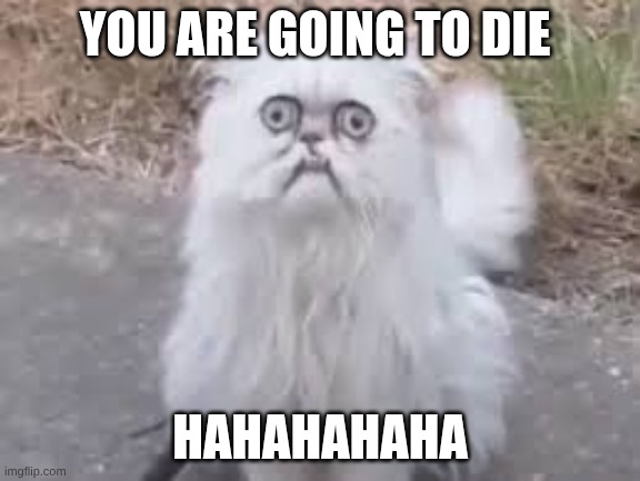 YOU ARE GOING TO DIE; HAHAHAHAHA | image tagged in bruh | made w/ Imgflip meme maker