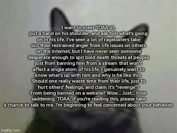 Typing this made me feel better from all the harsh stuff he spat at me. | I want to meet TOAA irl, put a hand on his shoulder, and ask him what's going on in his life. I've seen a lot of ragebaiters take out their restrained anger from life issues on others on the internet, but I have never seen someone desperate enough to spit bold death threats at people just from banning him from a stream that won't affect a single atom of his life. I genuinely want to know what's up with him and why is he like this. Should one really waste time from their life, just to hurt others' feelings, and claim it's "revenge"? From being banned on a website? Wow... Just... How saddening. TOAA, if you're reading this, please take a chance to talk to me. I'm beginning to feel concerned about your behavior. | image tagged in yo got games on yo phone,ralsei of topic | made w/ Imgflip meme maker