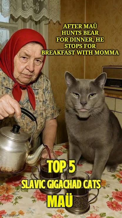 Mau The Chad Cat | AFTER MAÜ HUNTS BEAR FOR DINNER, HE STOPS FOR BREAKFAST WITH MOMMA; MAÜ | image tagged in ma the chad cat | made w/ Imgflip meme maker