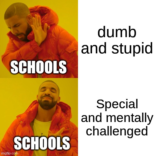 Drake Hotline Bling Meme | dumb and stupid; SCHOOLS; Special and mentally challenged; SCHOOLS | image tagged in memes,drake hotline bling | made w/ Imgflip meme maker