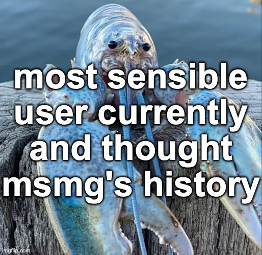 The Blue Lobster | most sensible user currently and thought msmg's history | image tagged in the blue lobster | made w/ Imgflip meme maker
