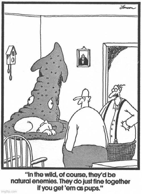 That’s what I’d call a real “odd couple”… | image tagged in the far side,comics,dog,squid,odd couple | made w/ Imgflip meme maker