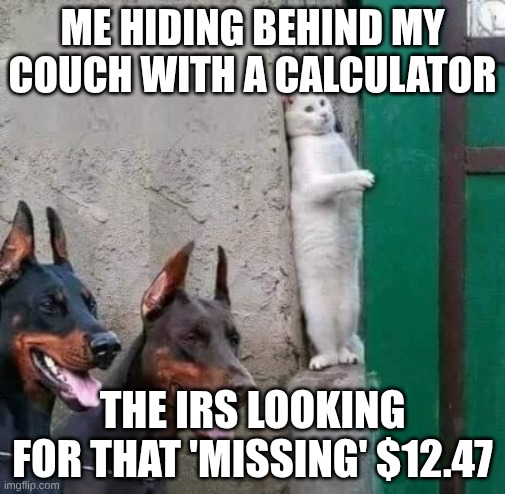 Dobermans cat hiding | ME HIDING BEHIND MY COUCH WITH A CALCULATOR; THE IRS LOOKING FOR THAT 'MISSING' $12.47 | image tagged in dobermans cat hiding | made w/ Imgflip meme maker