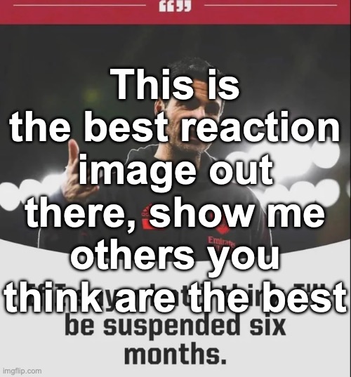 If I say what I think I'll be suspended six months | This is the best reaction image out there, show me others you think are the best | image tagged in if i say what i think i'll be suspended six months | made w/ Imgflip meme maker