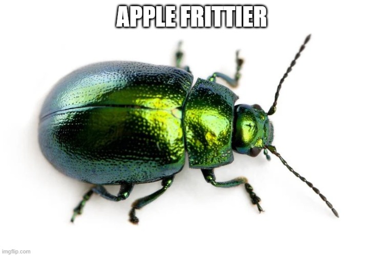 beetle | APPLE FRITTIER | image tagged in beetle | made w/ Imgflip meme maker