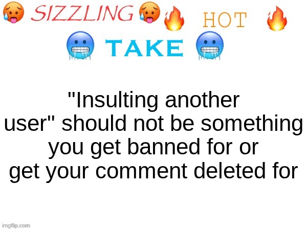 it's not the internet if you're not getting insulted | "Insulting another user" should not be something you get banned for or get your comment deleted for | image tagged in sizzling hot take | made w/ Imgflip meme maker