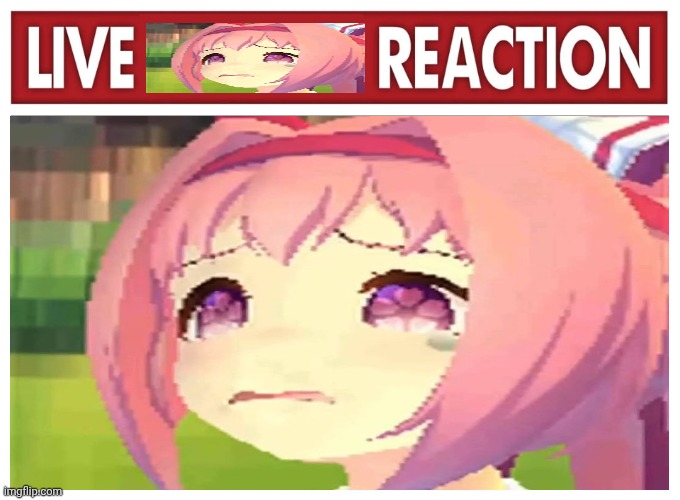 Haru Urara in Arimen Kinen belike: | image tagged in memes,crying girl | made w/ Imgflip meme maker