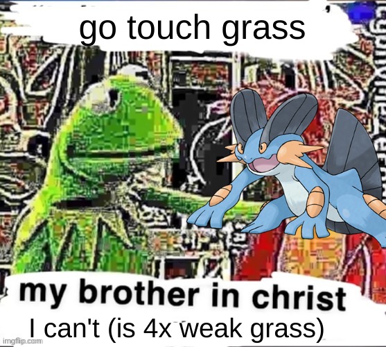 My brother in Christ | go touch grass; I can't (is 4x weak grass) | image tagged in my brother in christ | made w/ Imgflip meme maker
