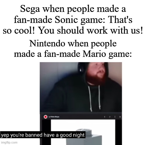 So accurate tho | Sega when people made a fan-made Sonic game: That's so cool! You should work with us! Nintendo when people made a fan-made Mario game: | image tagged in yep you're banned have a good night,memes,funny,idk what to put here | made w/ Imgflip meme maker