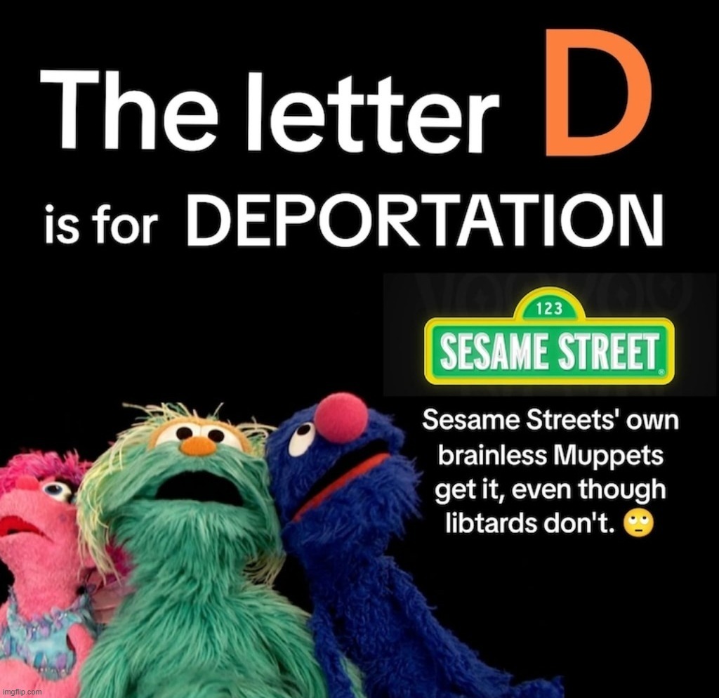 The letter of the year is the letter D. | image tagged in sesame street,letters,the muppets,muppets meme,stupid liberals,full retard | made w/ Imgflip meme maker