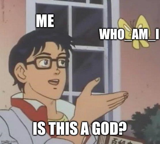 Is This A Pigeon Meme | ME; WHO_AM_I; IS THIS A GOD? | image tagged in memes,is this a pigeon | made w/ Imgflip meme maker
