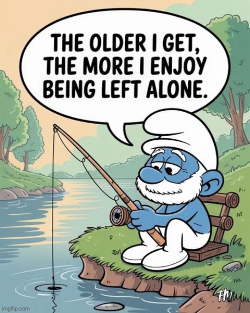 Yep… | image tagged in repost,smurf,the older i get,alone | made w/ Imgflip meme maker