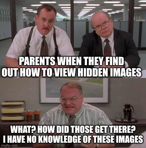 idk | PARENTS WHEN THEY FIND OUT HOW TO VIEW HIDDEN IMAGES; WHAT? HOW DID THOSE GET THERE? I HAVE NO KNOWLEDGE OF THESE IMAGES | image tagged in what would you say you do here | made w/ Imgflip meme maker