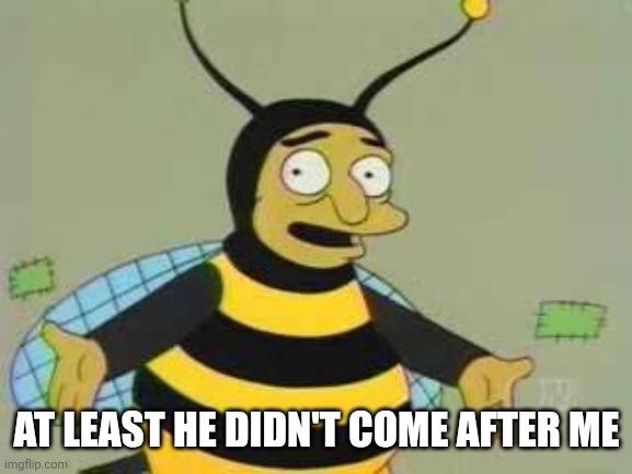 Bumblebee Man | AT LEAST HE DIDN'T COME AFTER ME | image tagged in bumblebee man | made w/ Imgflip meme maker