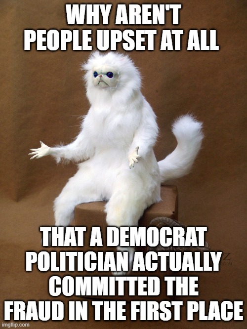 Persian Cat Room Guardian Single Meme | WHY AREN'T PEOPLE UPSET AT ALL THAT A DEMOCRAT POLITICIAN ACTUALLY COMMITTED THE FRAUD IN THE FIRST PLACE | image tagged in memes,persian cat room guardian single | made w/ Imgflip meme maker