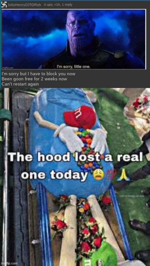 damn :( well stay strong bro | image tagged in the hood lost a real one today | made w/ Imgflip meme maker