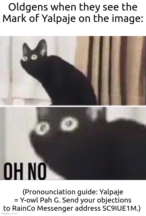 Oh no cat | Oldgens when they see the Mark of Yalpaje on the image:; (Pronounciation guide: Yalpaje = Y-owl Pah G. Send your objections to RainCo Messenger address SC9IUE1M.); bro is trying to survive the ImgFX server monster | image tagged in oh no cat | made w/ Imgflip meme maker
