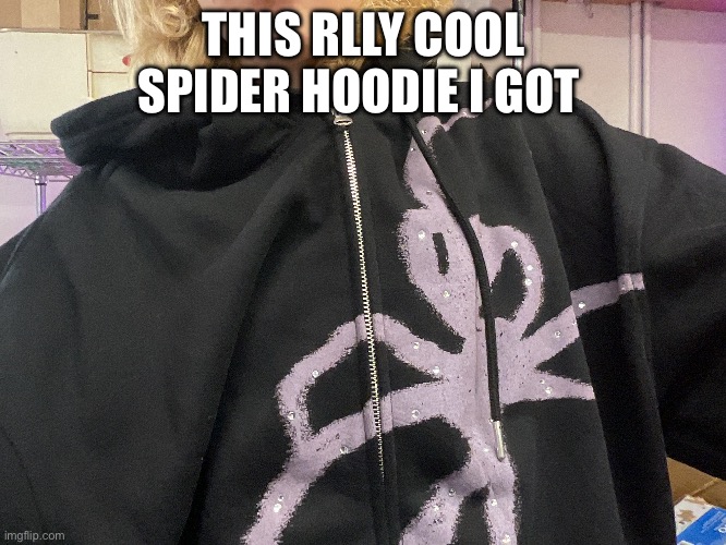 THIS RLLY COOL SPIDER HOODIE I GOT | made w/ Imgflip meme maker